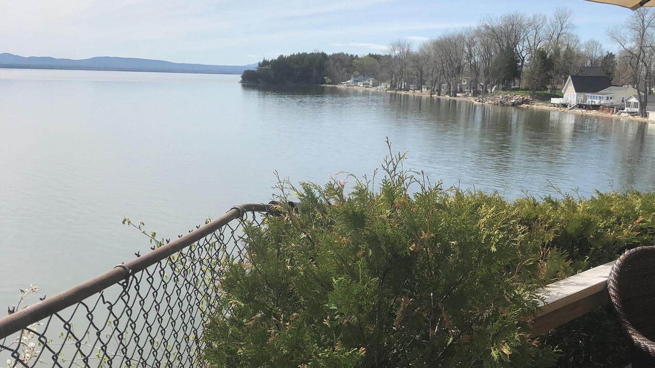 Photo of Others in Malletts Bay