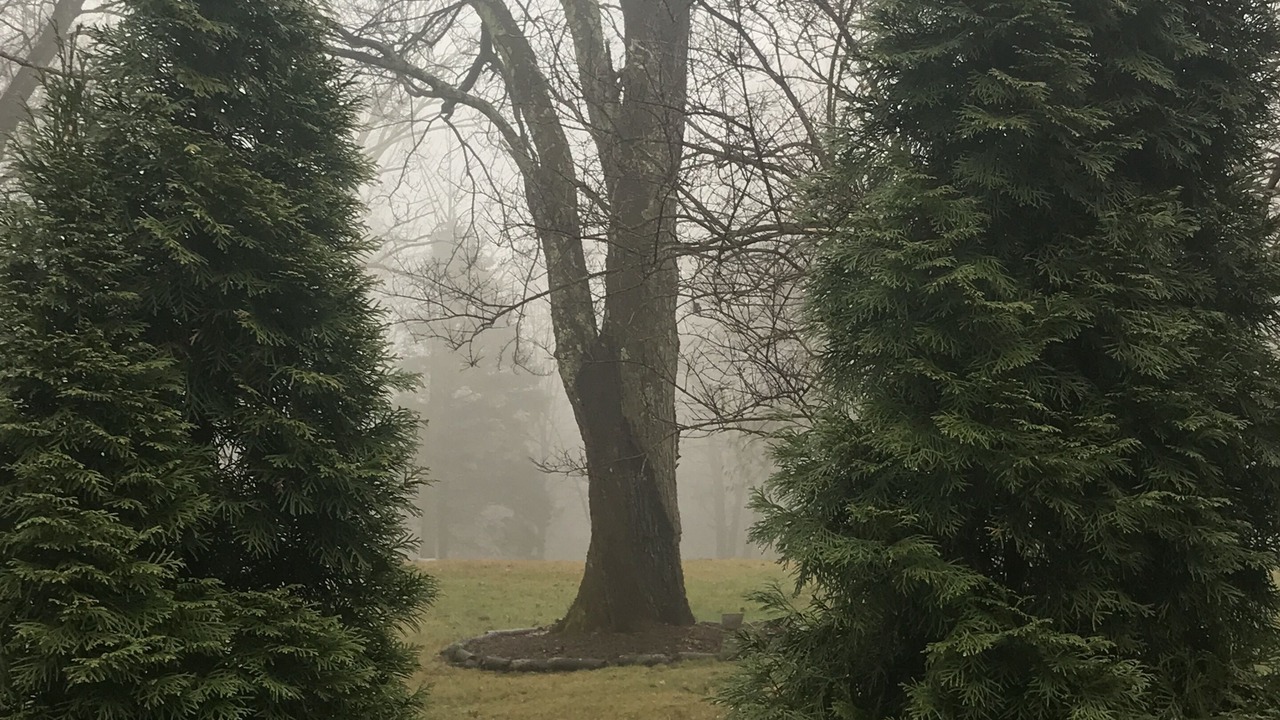 Photo of Outdoor in Bantam