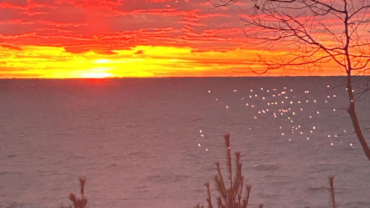 Photo of Others in Muskegon