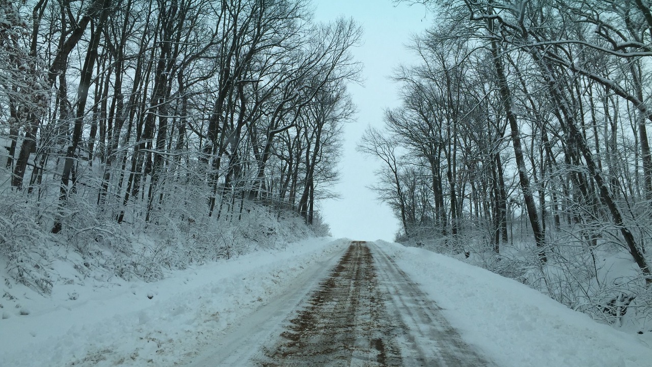 Photo of Others in Mauston