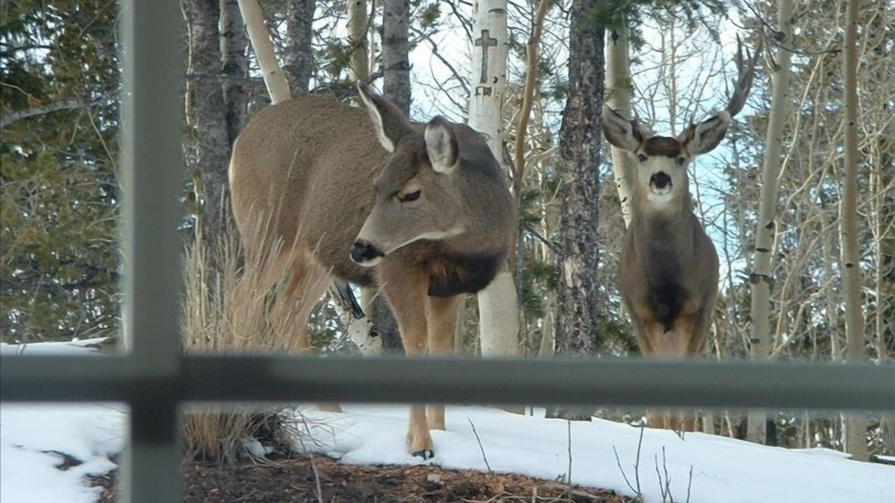 Photo of Others in Rainbow Valley