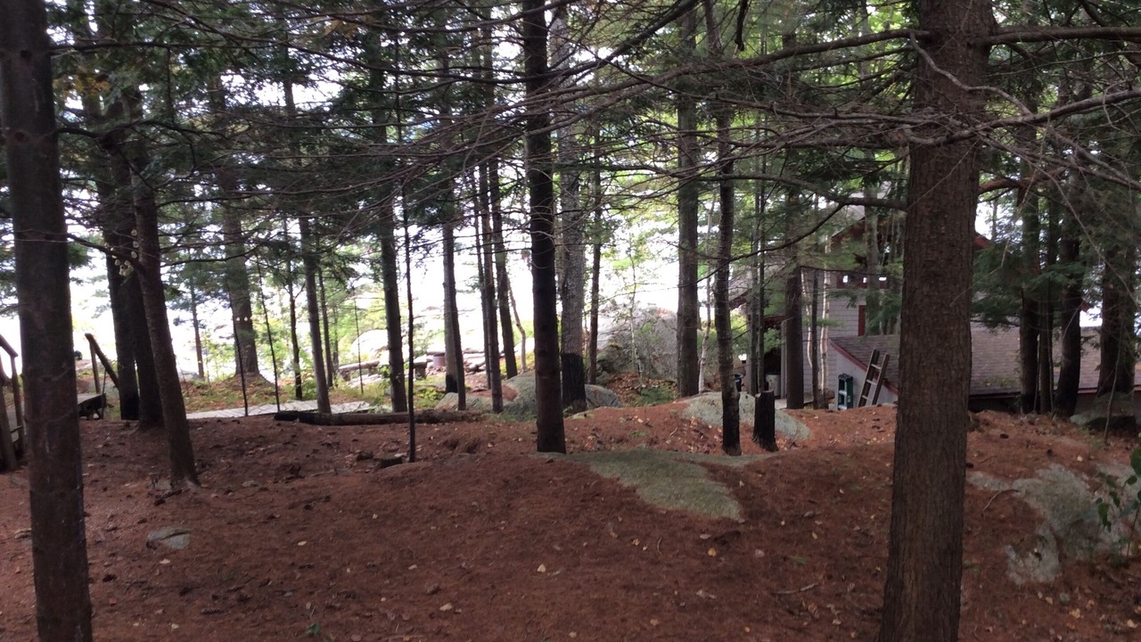 Photo of Others in Tupper Lake