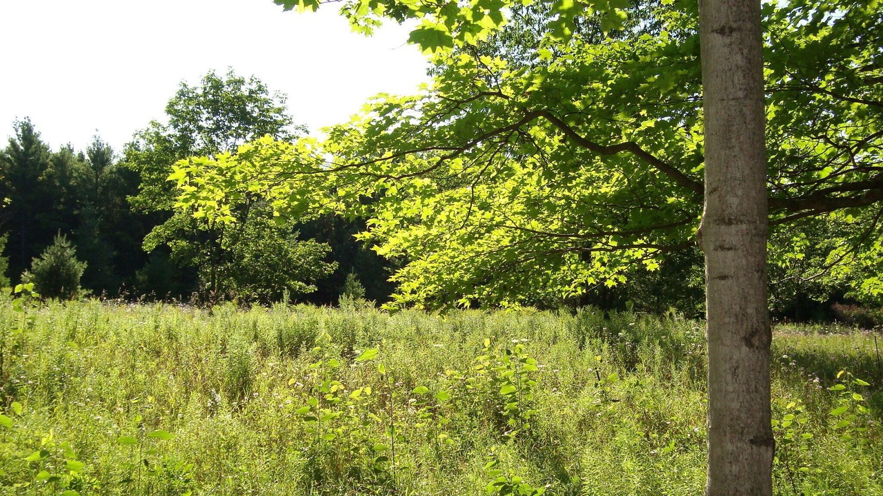 Photo of Outdoor in Baileys Harbor