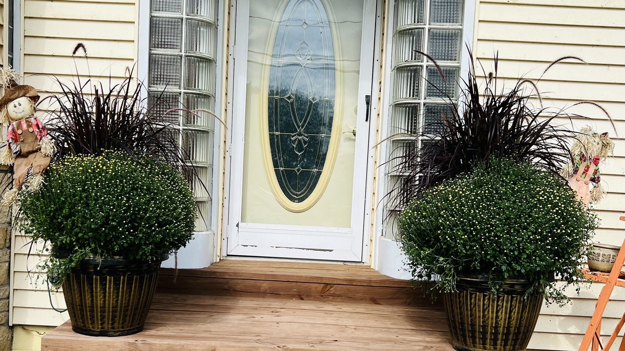 Photo of Outdoor in Ferryville