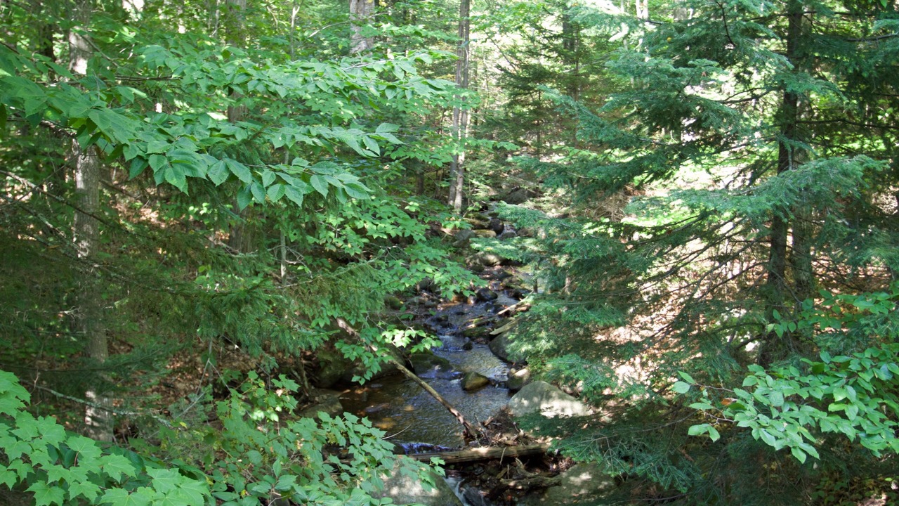 Photo of Outdoor in Lake Placid
