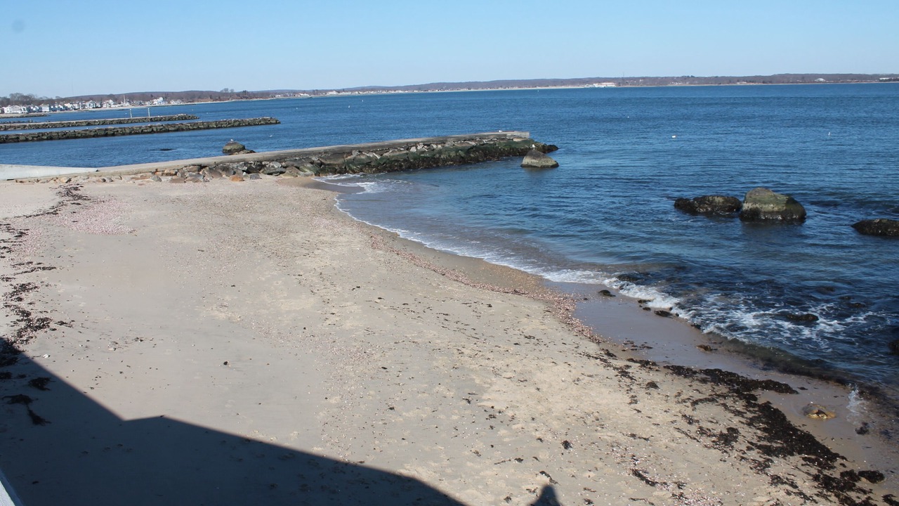 Photo of Others in Niantic