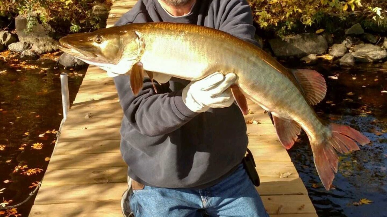 Photo of Outdoor in Lake Wissota