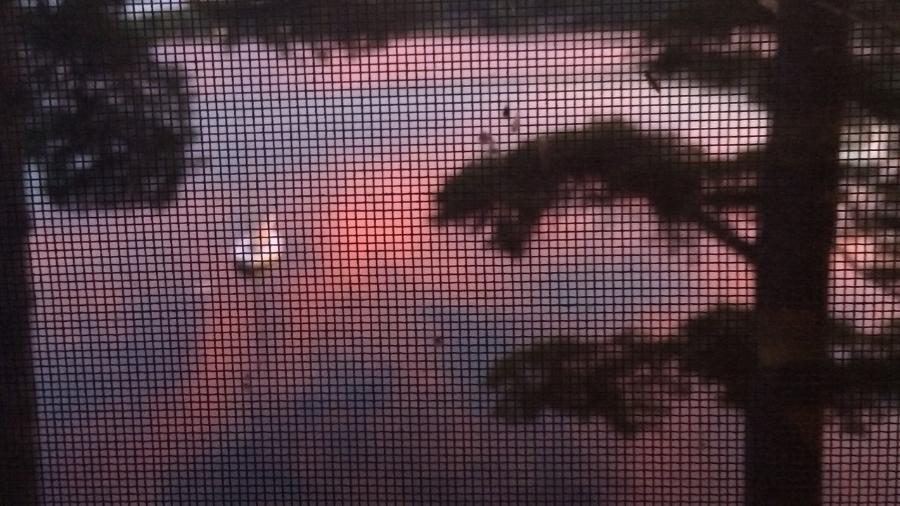 Photo of Outdoor in Williston