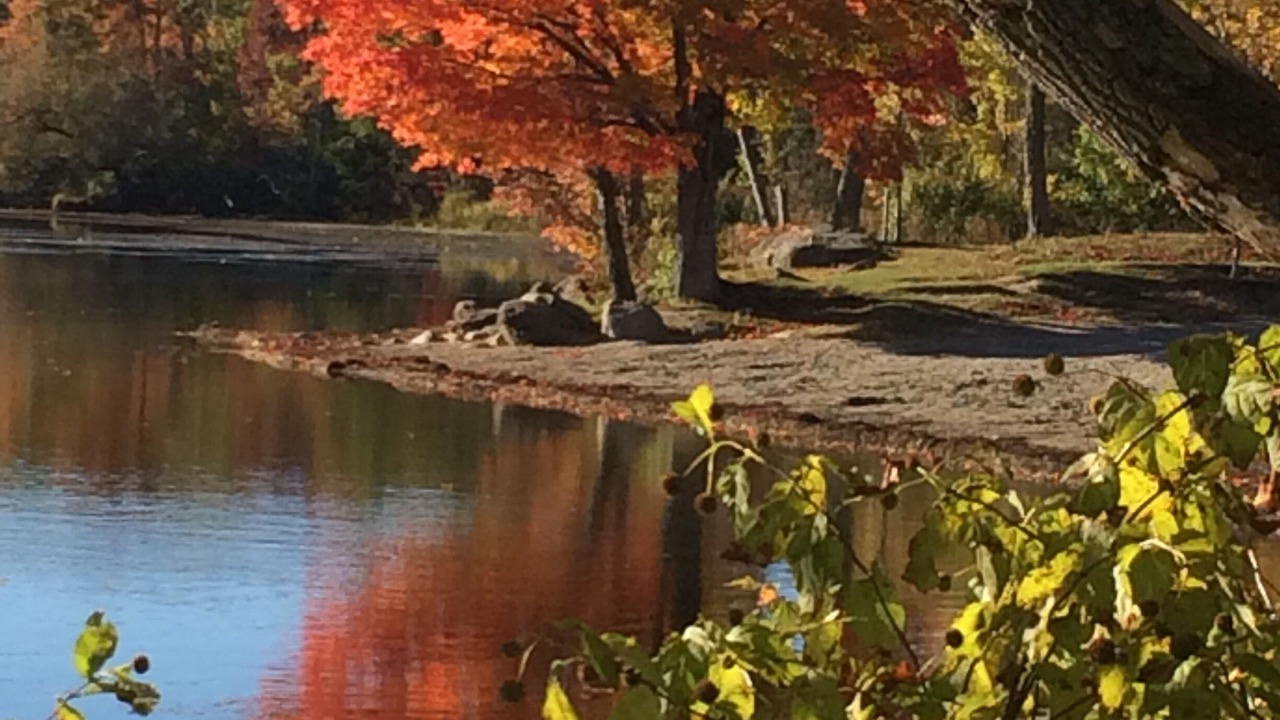 Photo of Outdoor in Williston