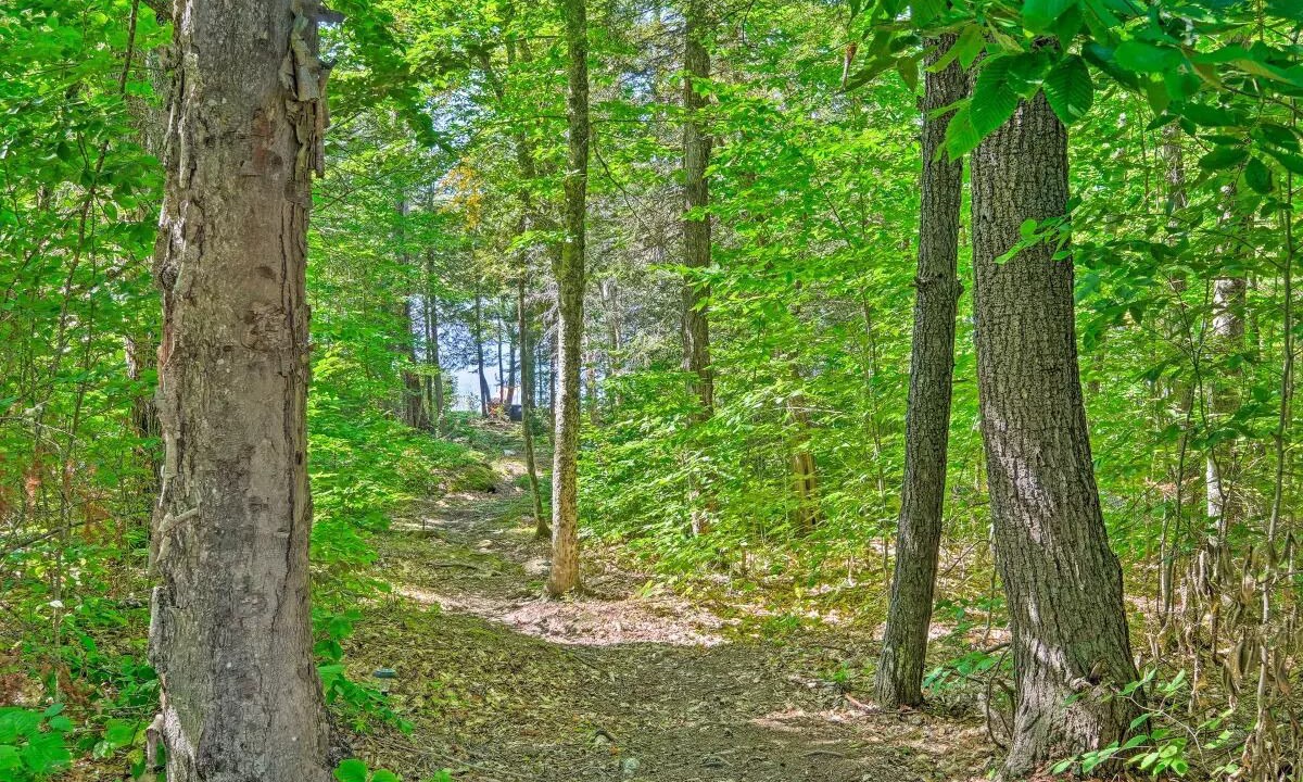 Photo of Outdoor in Harmony