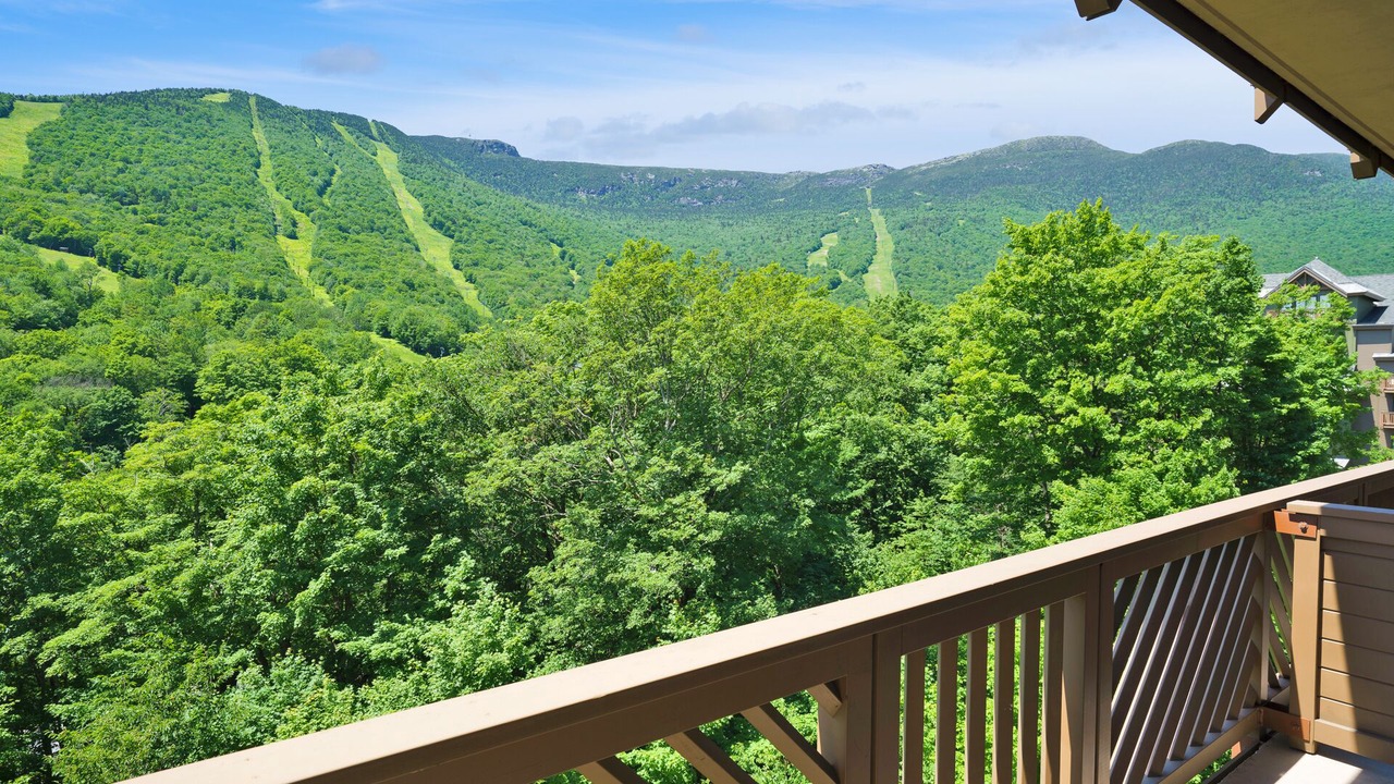 Photo of Outdoor in Stowe Area
