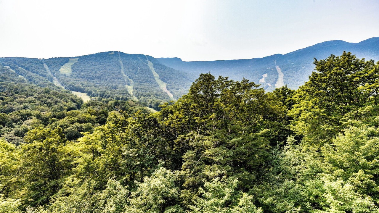 Photo of Others in Stowe Area