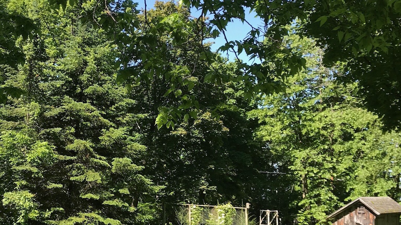 Photo of Outdoor in Swanton