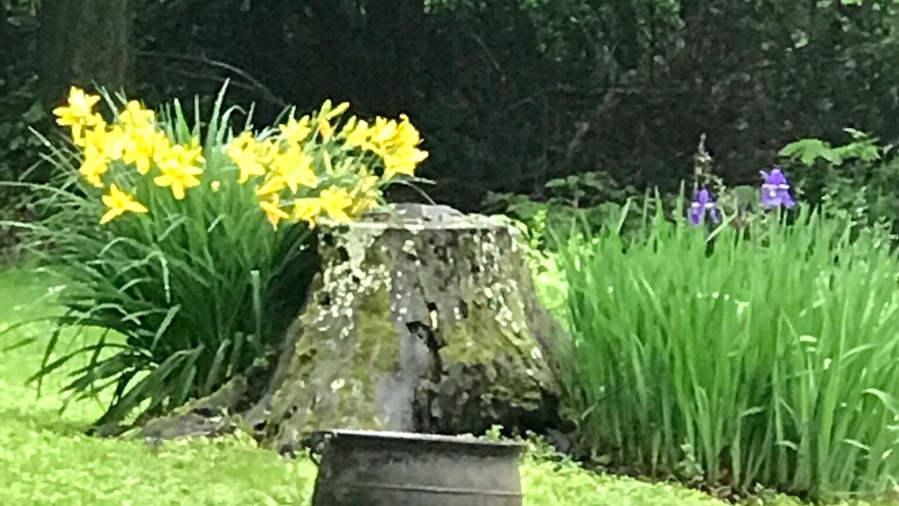 Photo of Outdoor in Swanton