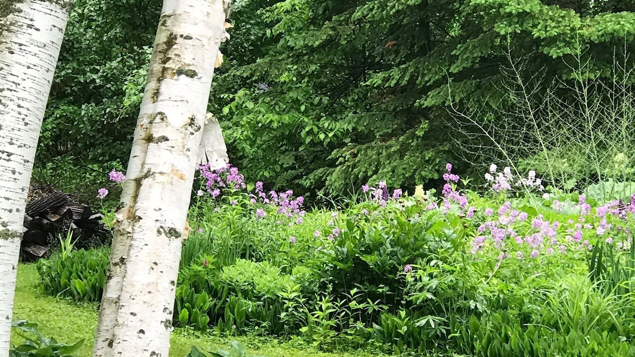 Photo of Outdoor in Swanton