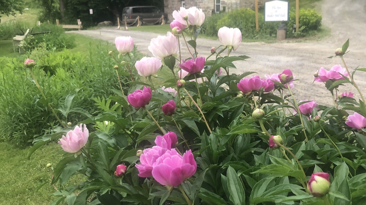 Photo of Outdoor in Canaan