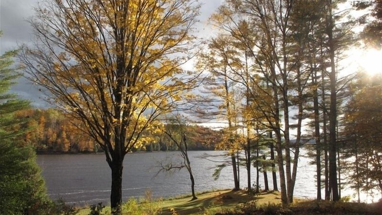 Photo of Outdoor in Lower Waterford