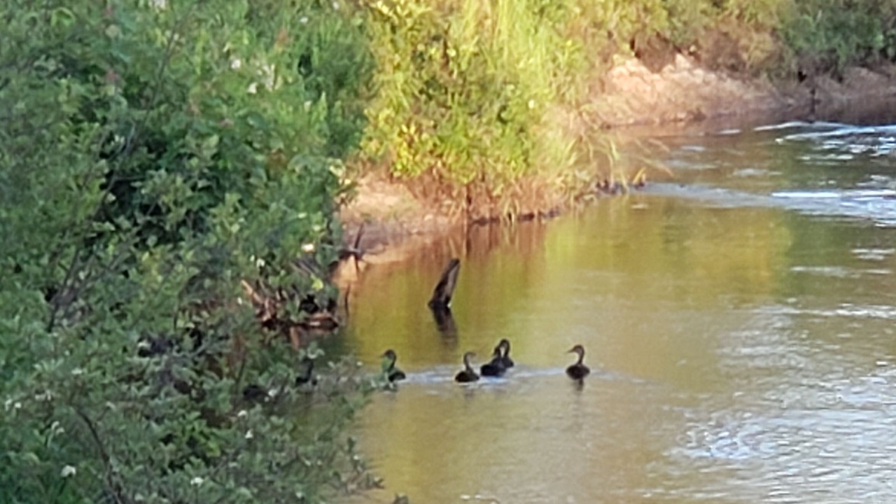Photo of Others in Paradise
