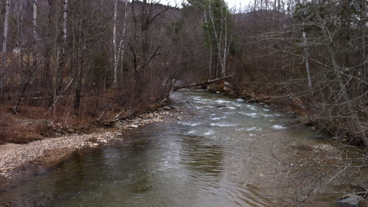 Photo of Others in Weston