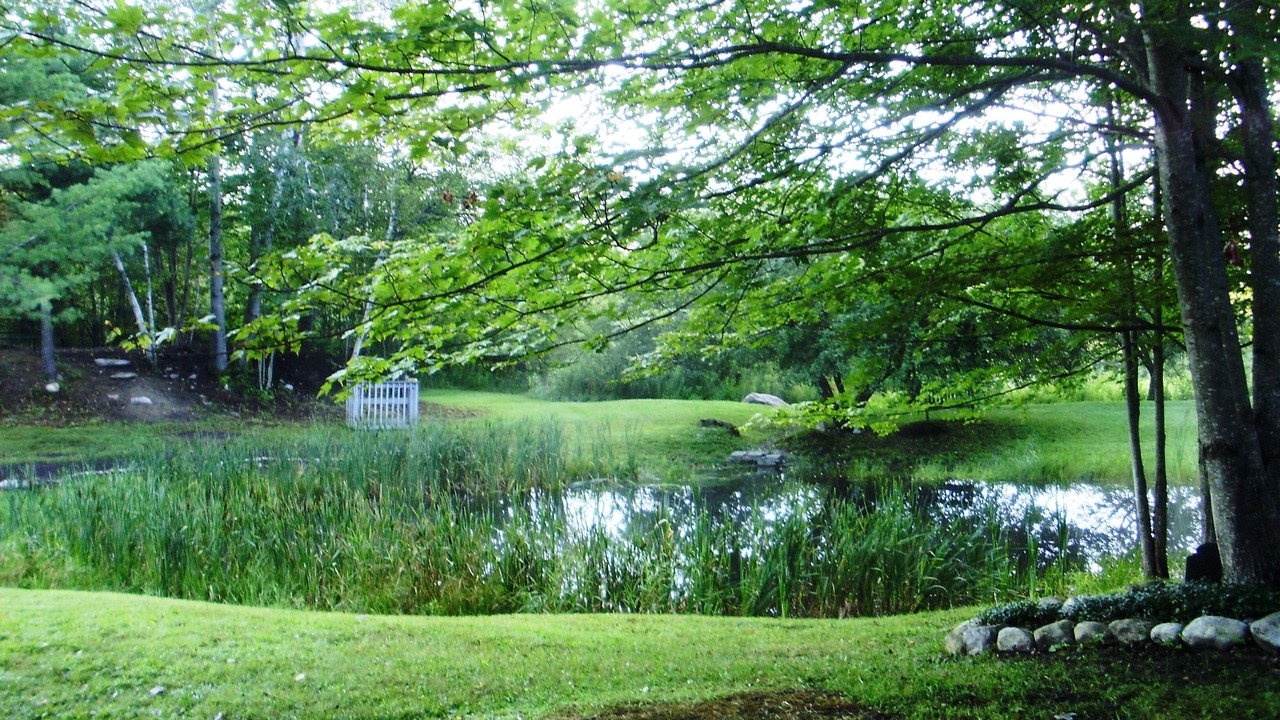 Photo of Outdoor in Weston