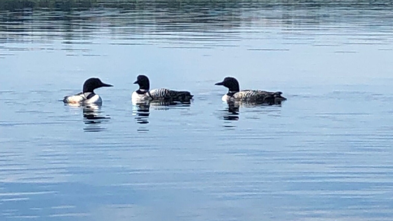 Photo of Others in Hackensack
