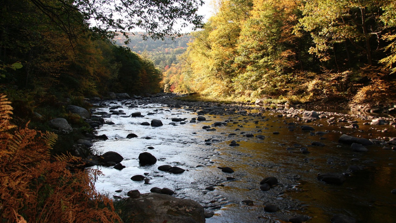 Photo of Outdoor in Wardsboro