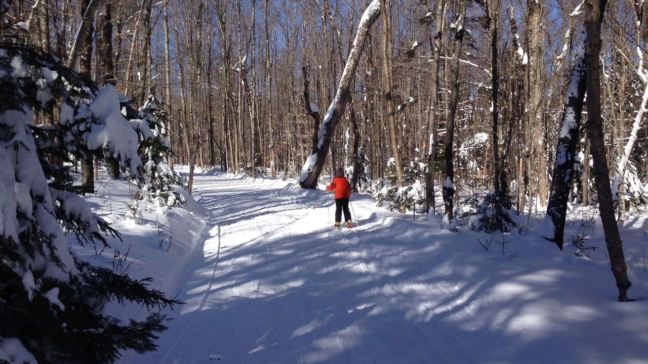 Photo of Others in Wardsboro
