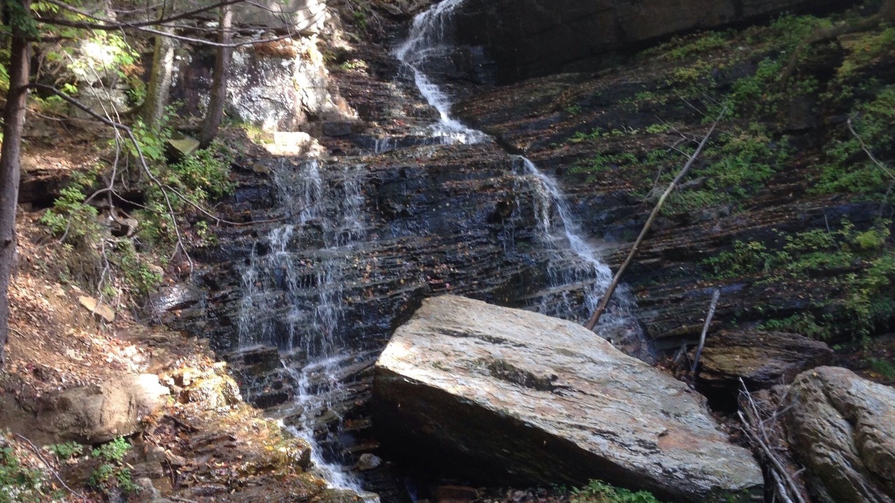 Photo of Others in Wardsboro