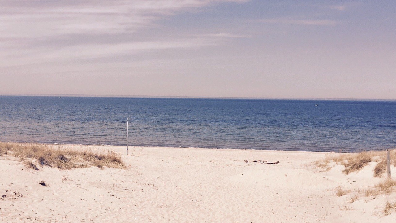 Photo of Others in South Haven
