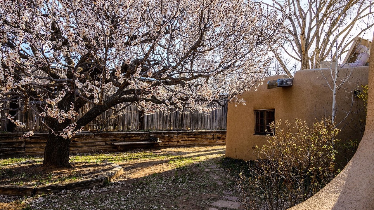 Photo of Outdoor in Historic Eastside