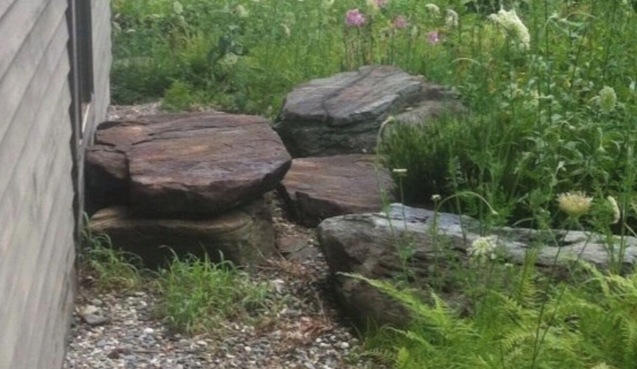 Photo of Outdoor in Putney