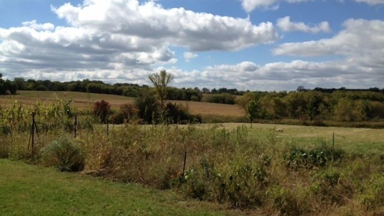 Photo of Outdoor in Rochester