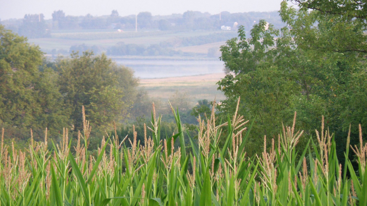 Photo of Others in Rochester