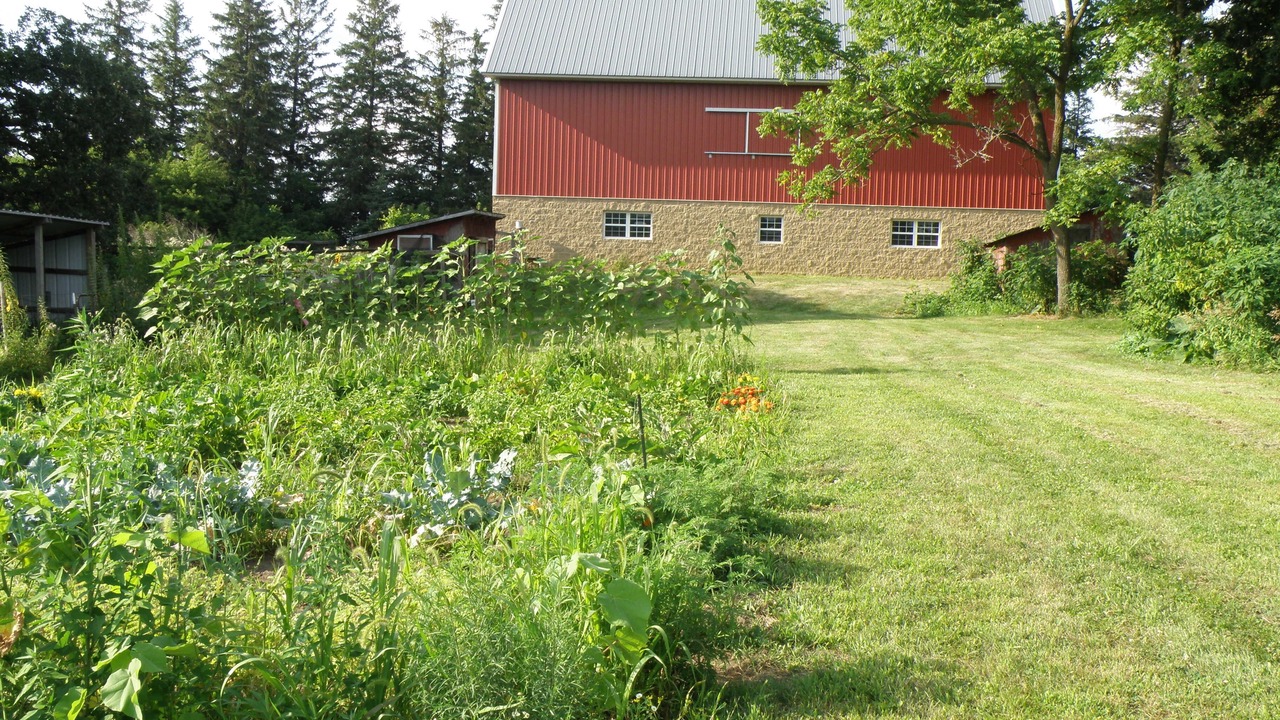 Photo of Outdoor in Rochester