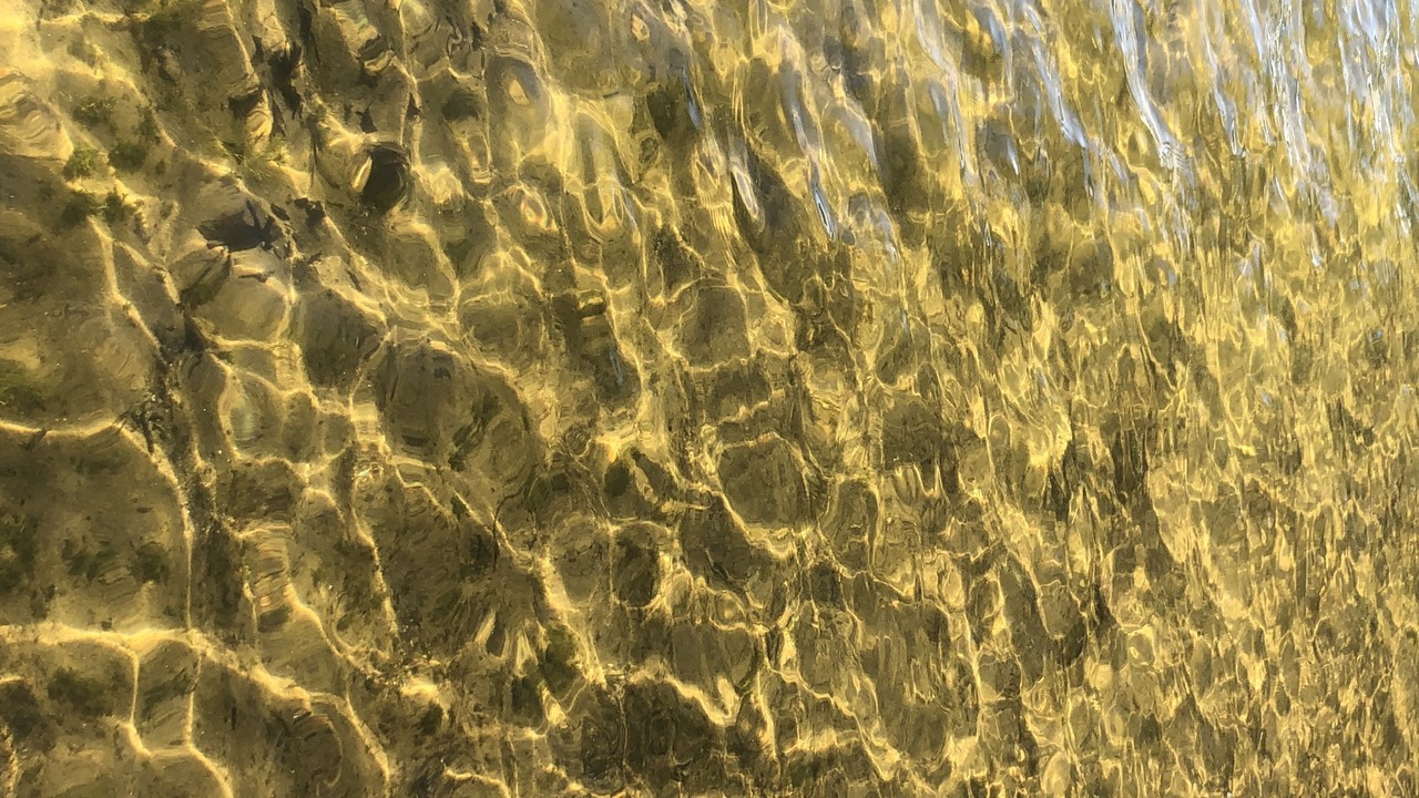 Photo of Outdoor in Waupaca