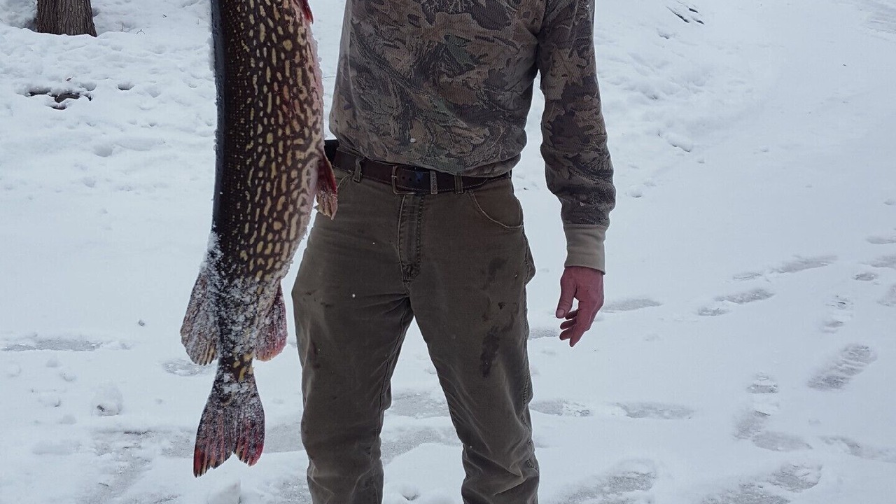 Photo of Outdoor in Birchwood