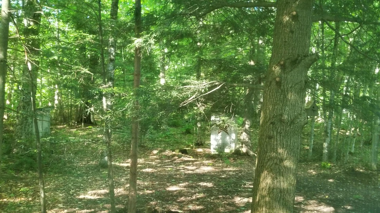 Photo of Others in Caroga Lake