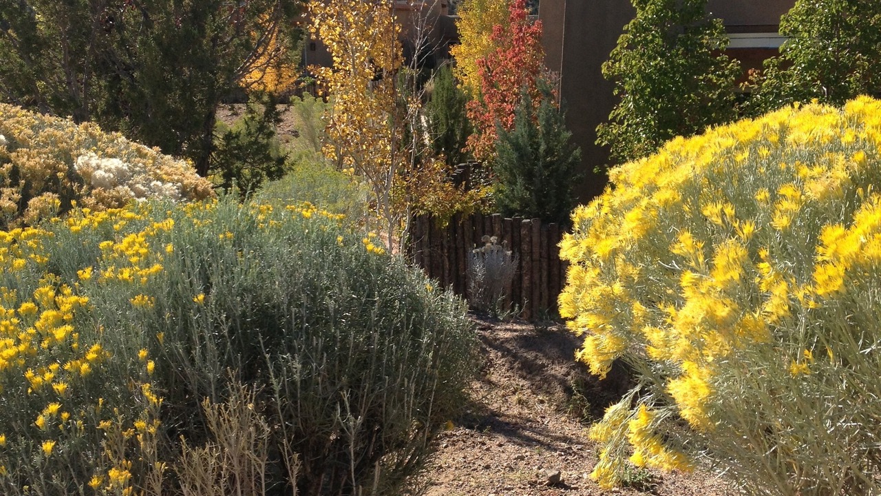 Photo of Outdoor in Tesuque