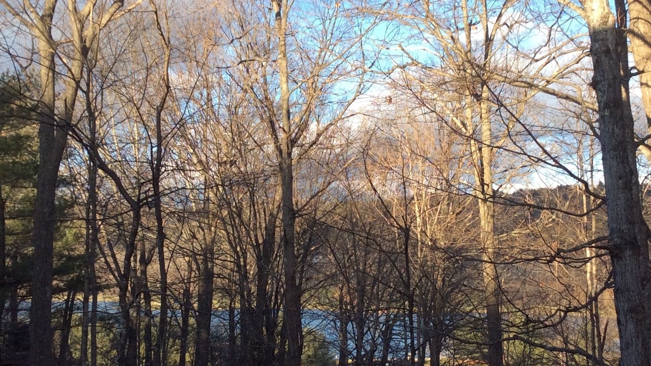 Photo of Others in West Hartford
