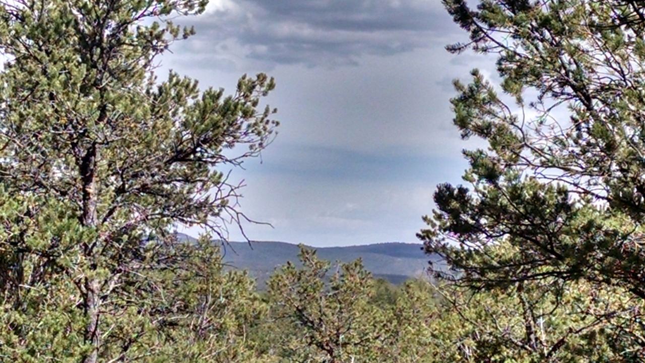 Photo of Outdoor in Pecos