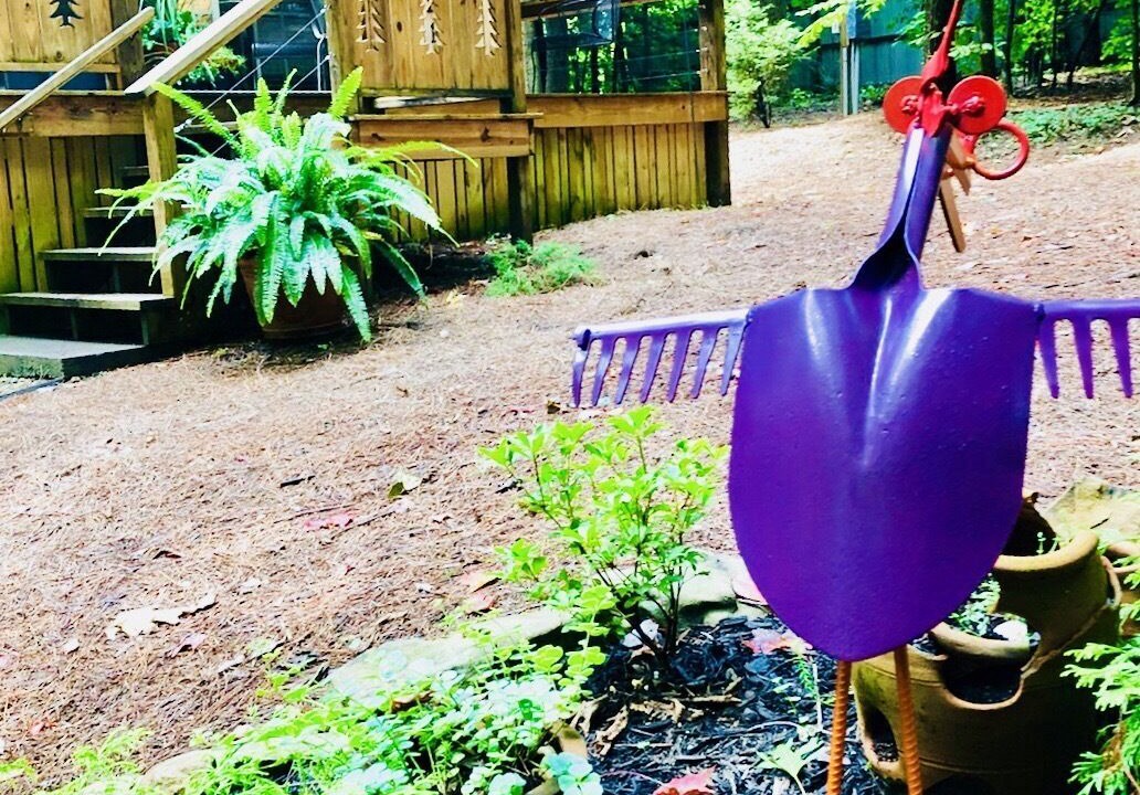 Photo of Outdoor in Fayetteville
