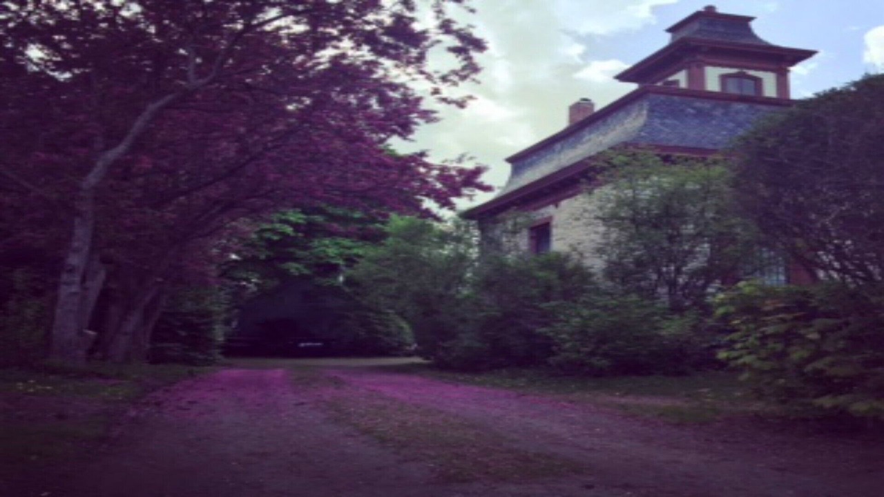 Photo of Outdoor in Plattsburgh