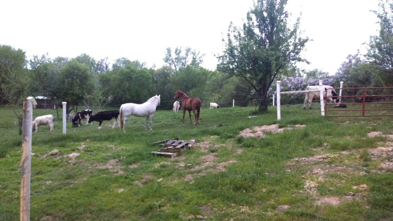 Photo of Outdoor in Pine Island