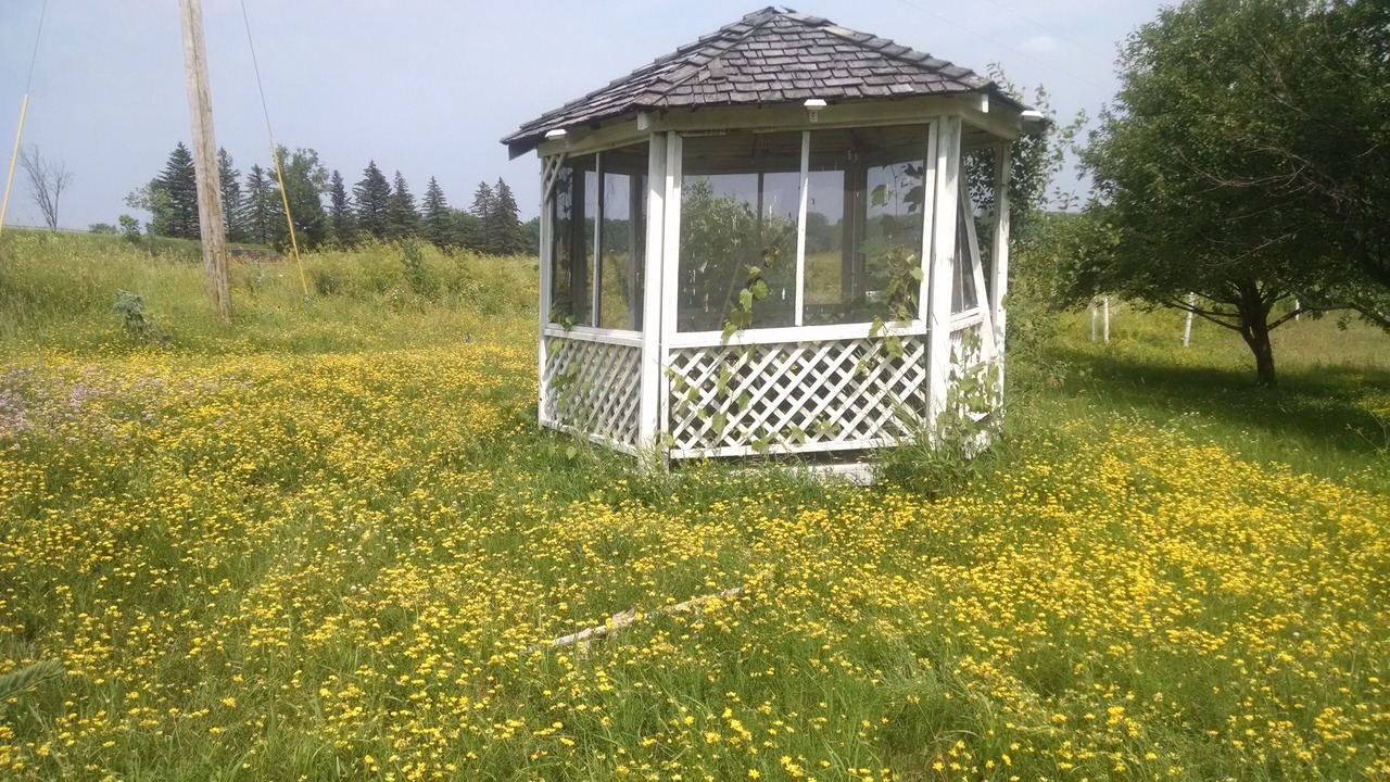 Photo of Outdoor in Pine Island