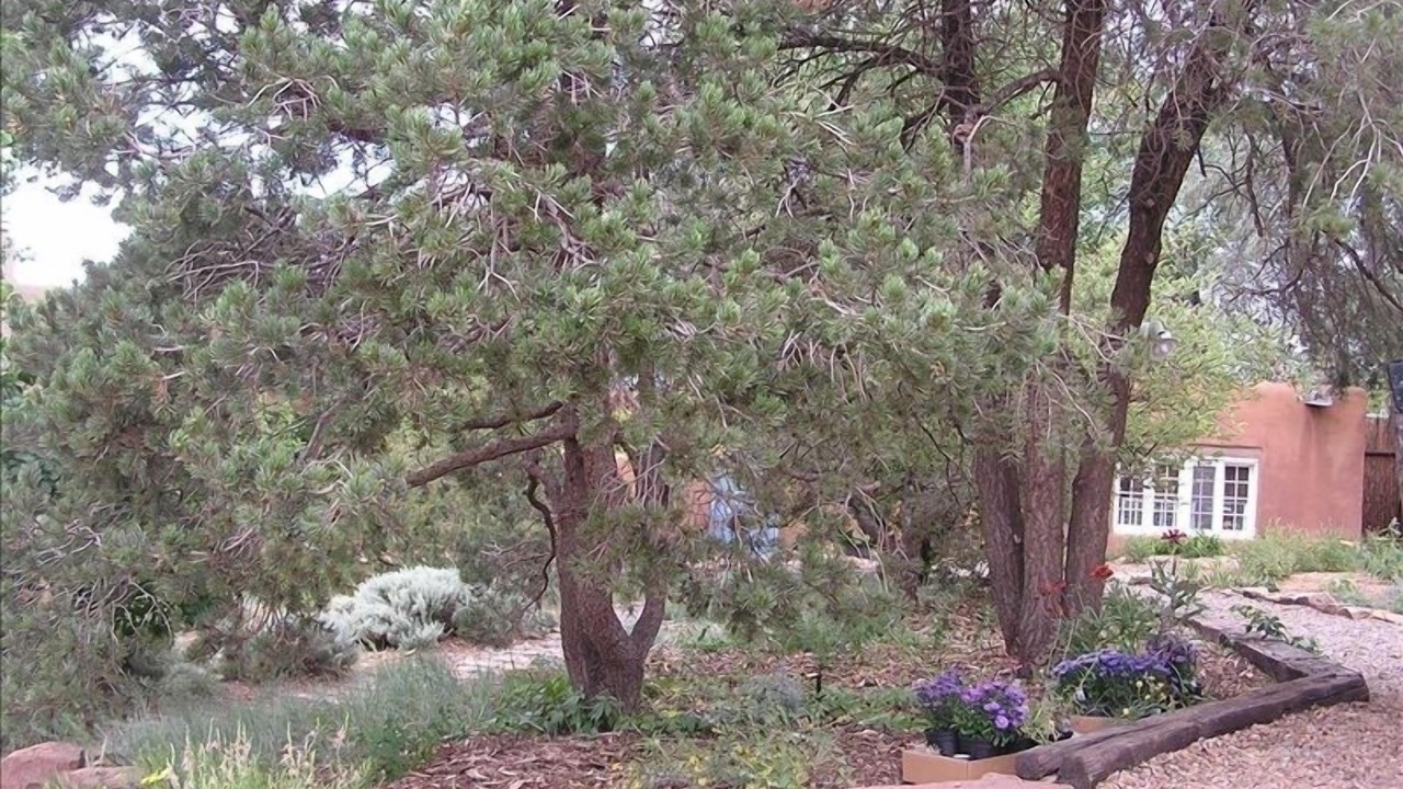 Photo of Others in Historic Eastside