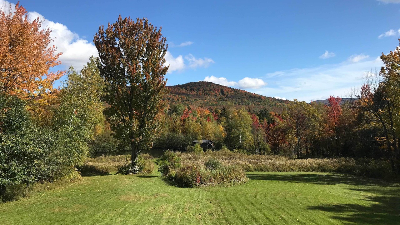 Photo of Others in Green Mountains