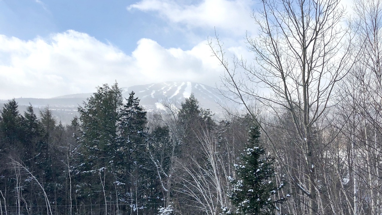 Photo of Others in Stratton Mountain