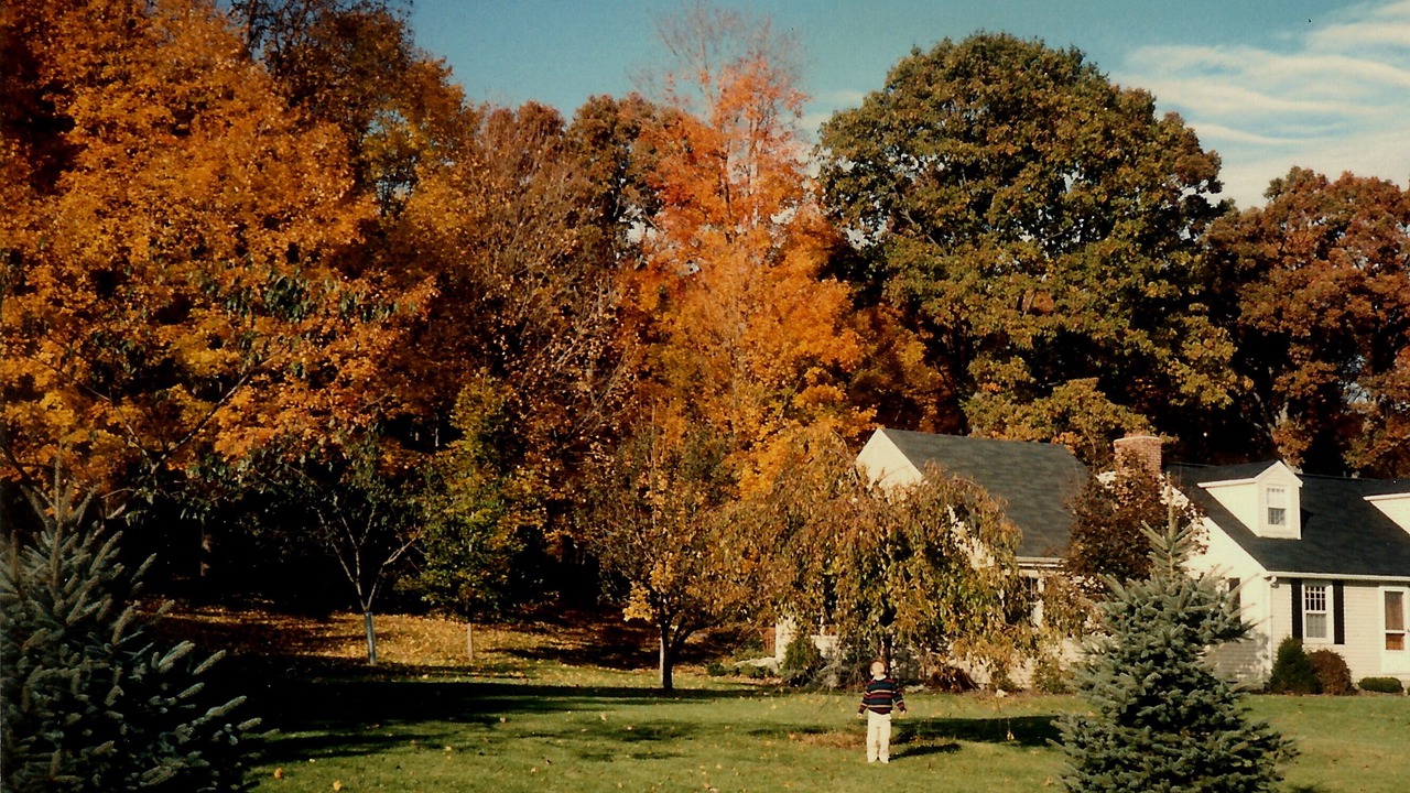 Photo of Others in Redding Ridge