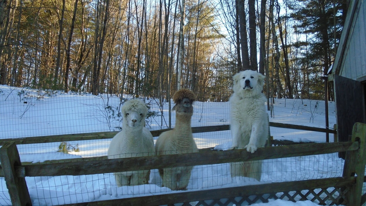 Photo of Others in Conway