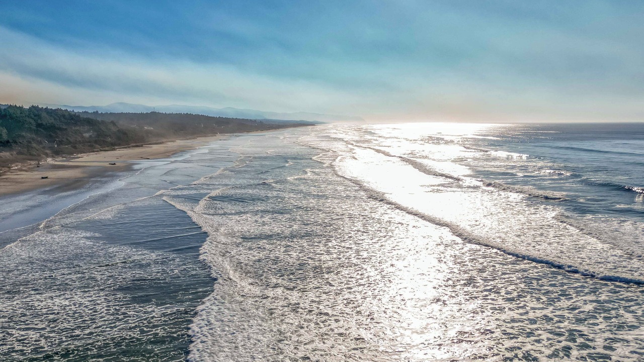 Photo of Others in Seal Rock